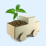 Dla kogo przeznaczone są kartony na sadzonki?