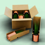 Opakowania na sadzonki: jak chronić rośliny podczas transportu? Opakowania na sadzonki: jak chronić rośliny podczas transportu?